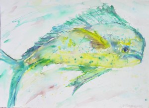 Coryphaena hippurus Painting of a Mahi Mahi fish, by I.V.Passmoore