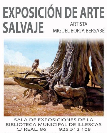Exposición de Arte Salvaje del artista Miguel Borja Bersabé en la Sala de Exposiciones de la Biblioteca Municipal de Illescas.