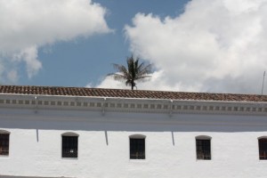 Blanco, azul y verde en Quito 