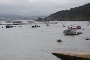 Desde el bar del puerto, donde comen lirios los bateeiros/ Aceytuno 