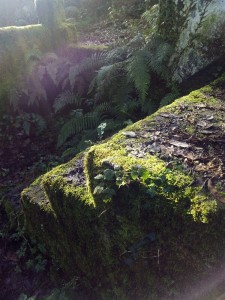 Piedras humeando con el sol el 2-1-2015/ Aceytuno