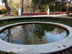 Fuente del parque de la Fuente del Berro con las hojas sumergidas como peces (10-1-2015) / Aceytuno