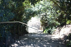 Escalera del parque de la Fuente del Berro el 10-1-2015/ Aceytuno