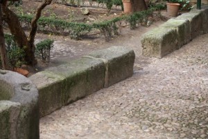 Piedras del patio / Aceytuno