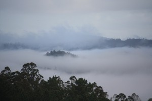 Niebla por el valle / Aceytuno