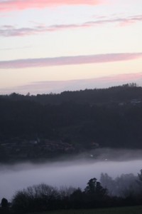 Niebla con la primera luz del día