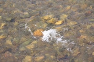 El agua del río cuando tropieza se vuelve blanca como una enagua / Aceytuno