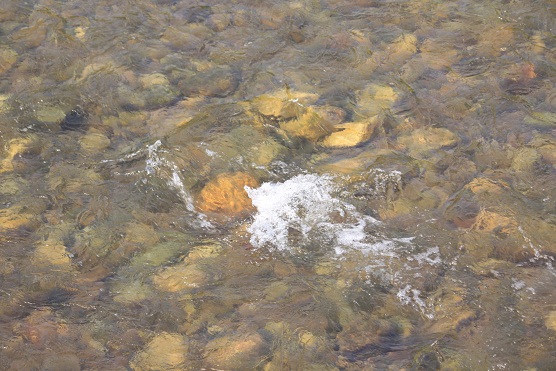 Una televisión para el agua