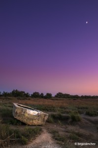 Marismas del Guadalquivir (Cádiz) / Begoña Sánchez