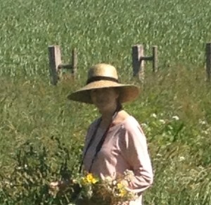 Recolectando flores silvestres en la mañana del 23-5-2015 