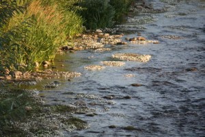 Último sol del día sobre el río/ Aceytuno