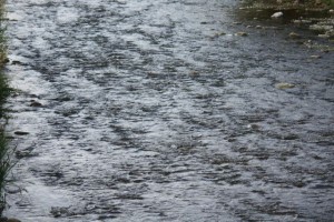 El río por la tarde, el 20-7-2015 / Aceytuno