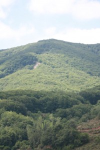 Montes de Santa Coloma / Aceytuno