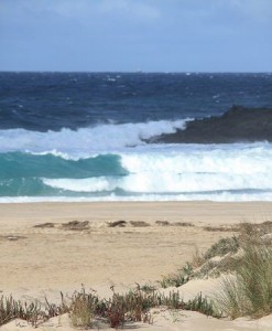 Océano Atlántico / Aceytuno