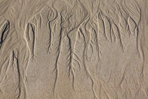 En la bajamar se nota que el agua tiene raíces / Aceytuno