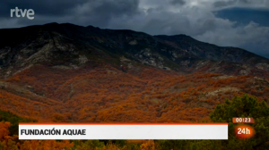 Bosque de Otoño / Fundación AQUAE