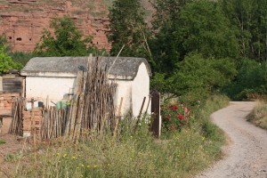 Camino de la chopera de Nájera / Aceytuno