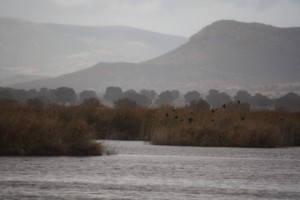 Foto de archivo: Daimiel bajo la lluvia / Aceytuno