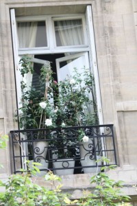 Ventana de París / Toutes mes condoléances/ Aceytuno