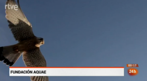 Cernido sobre la tierra / Fundación AQUAE / TVE