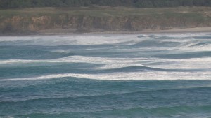 Olas en San Jorge con las gaviotas refugiadas en el acantilado / Aceytuno