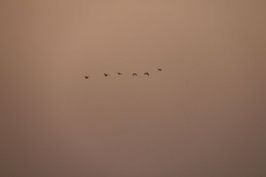 IMG_0197