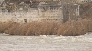 Río Duero a su paso, entre el carrizal, por Tordesillas (Valladolid) / Aceytuno