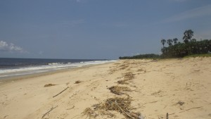 Playa africana cerca de Pointe-Noire / Aceytuno