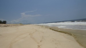 Pesca entre las olas amarillas / Aceytuno