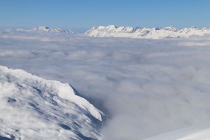 IMG_1546