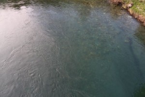 Agua del Lor desde el puente / Aceytuno