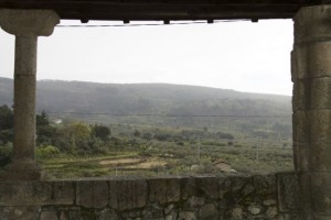 Viendo llover, esperando a que escampe, mirando los rebaños que se ven de lejos, y que se oyen, con el cuco, de cerca. / Aceytuno