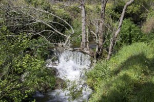 Arroyo cerca de San Martín de Trevejo / Aceytuno