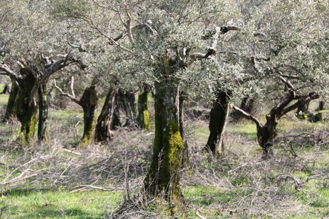 Sierra de Gata