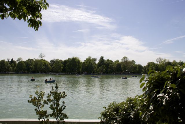 Pájaros carpinteros del Retiro