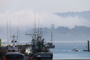 Niebla entrando por el puerto esta mañana / Aceytuno