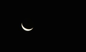 Luna decreciente del 27-9-2016 / Aceytuno