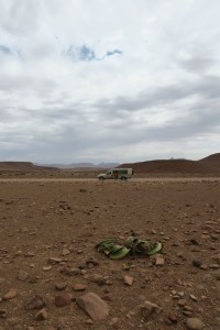 Soledad de la Welwitschia mirabilis / Namibia, diciembre 2016 / Aceytuno