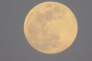 Luna llena, abril 2017/ Aceytuno