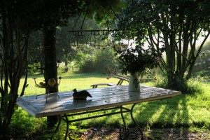 Sol sobre la mesa llena de agua de lluvia / Aceytuno